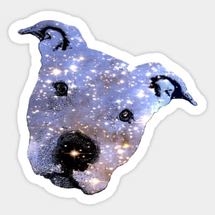 Star Dog Sticker